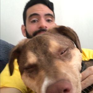 Meet your Posher, Ivan